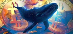 همچنان با نزول قیمت بیت‌کوین، نهنگ‌ها به نگهداری ادامه می‌دهند
